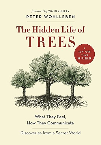 The Mysteries of Nature: the Hidden Life of Trees (Hardcover)